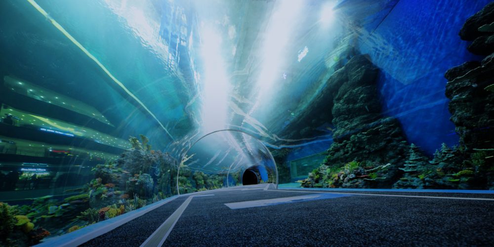 Akrilok Revamp Oceanariums: Kína mélytengeri tech-ECO innovációi